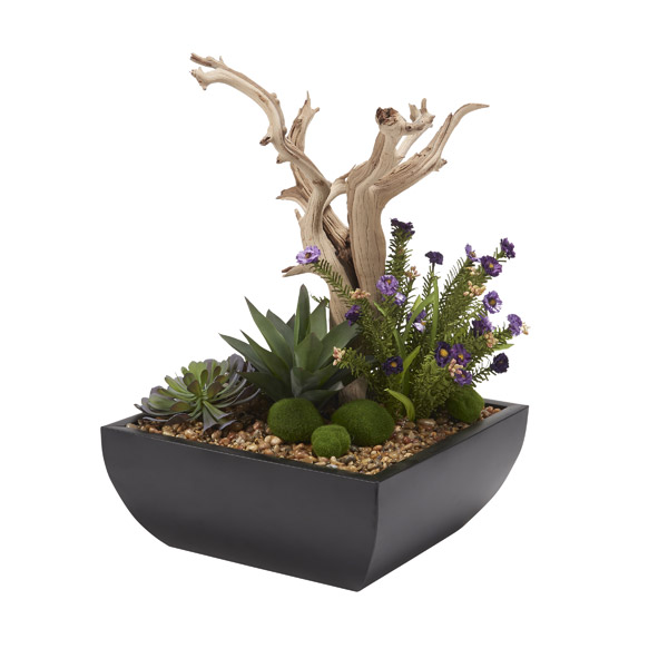 Ghostwood Branch with Succulents and Wild Flowers in Square Metal ...