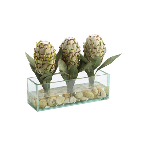 Green Proteas in Small Aquaria Vase- 209051