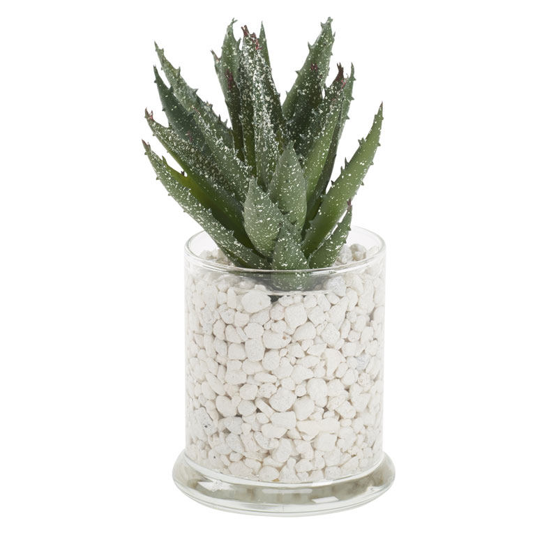 Succulent in Small Shale Vase – 212252|D&W Silks