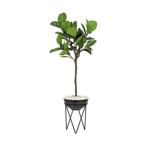 6' Fiddle Leaf Fig Tree in Black Resin Bowl with Metal Stand - 322408