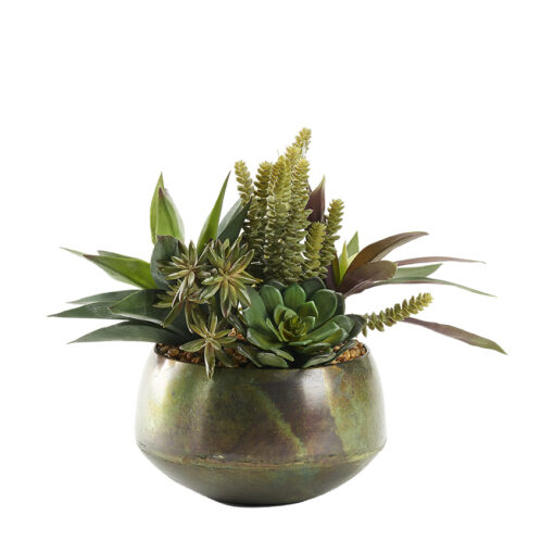 Aloe & Assorted  in Rustic Green Sosa Bowl - 227023