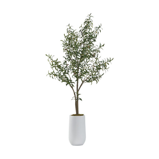 6.5' Olive Tree in Small Quinn Planter - 322907