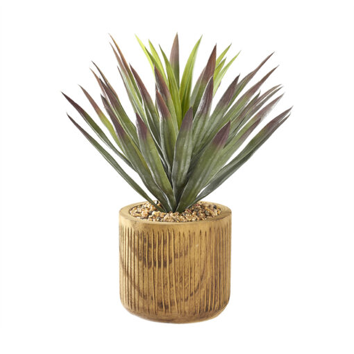 Agave Plant in Medium Asher Planter without Legs - 231038