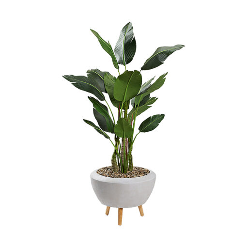 70" Bird of Paradise Tree in Large Triad Planter - 323001