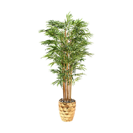 7' Bamboo Tree in Medium Leonine Planter - 323008