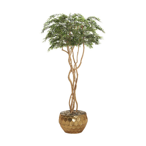 7' Ruscus Tree in Large Felix Planter - 323009