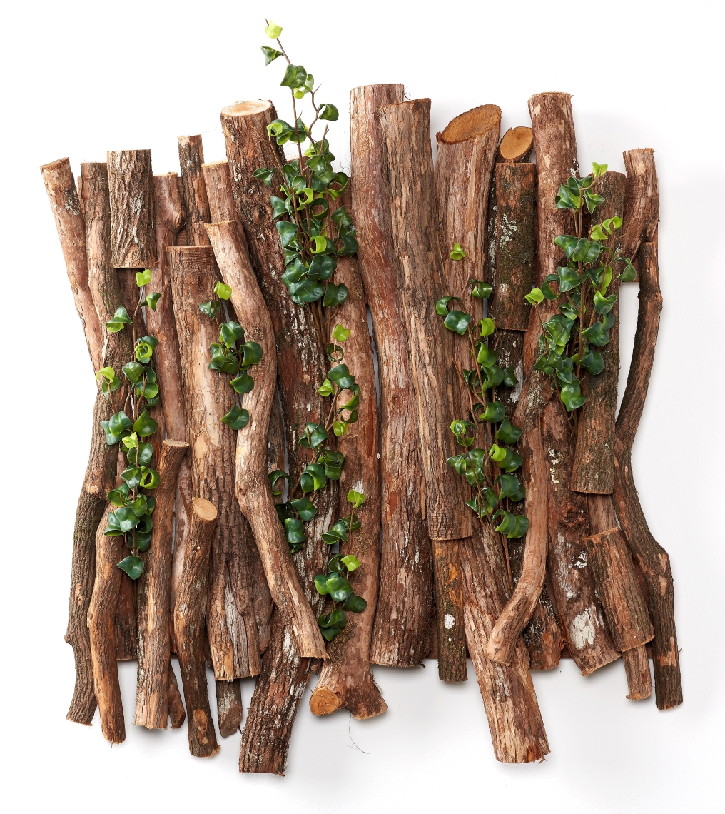 WALL HANGING DRAGONWOOD WITH FICUS BENJAMINA - 323610 - D&W Silks