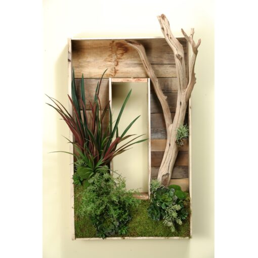 Shadow Box with Ghostwood and Mixed Succulents - 161032