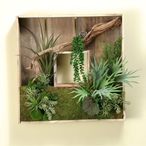 Shadow Box with Ghostwood and Mixed Succulents - 161034