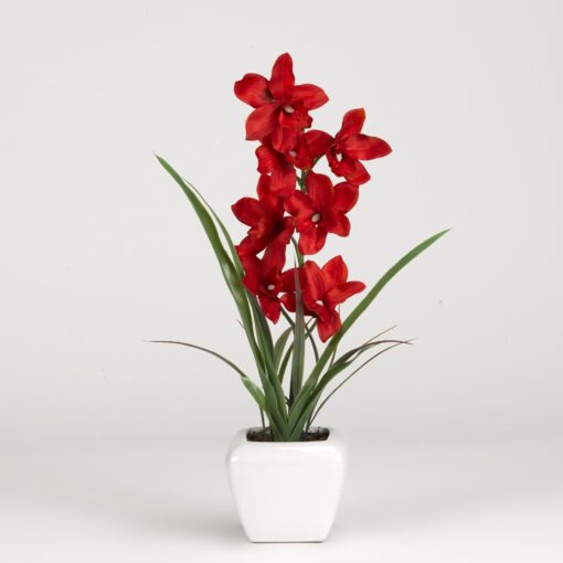 Red Cymbidium Orchids in Square White Planter - 186200