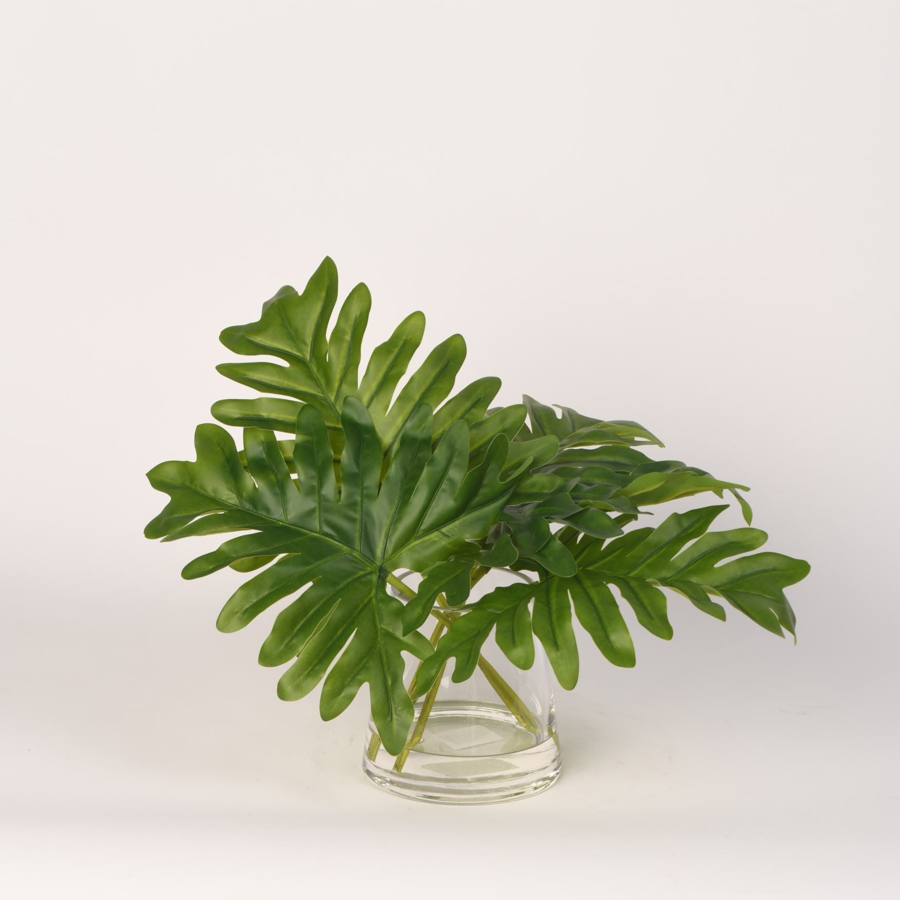 Split Leaf Philo in Taper Vase – 217026|D&W Silks