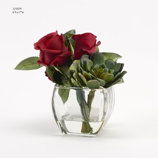 Red Roses and Echeveria in Glass Cube - 221029