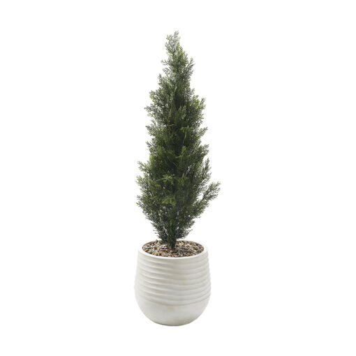 4' Cedar Topiary in White Planter - 323802