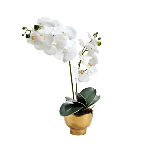 White Orchids in Gold Pot - 231103