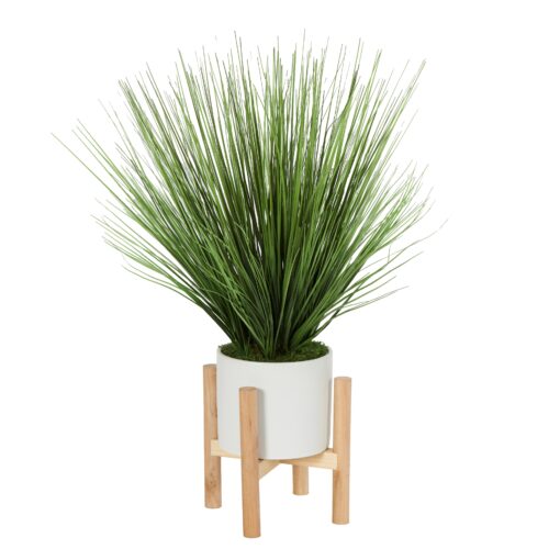 Onion Grass in White Planter with Wooden Stand - 231116