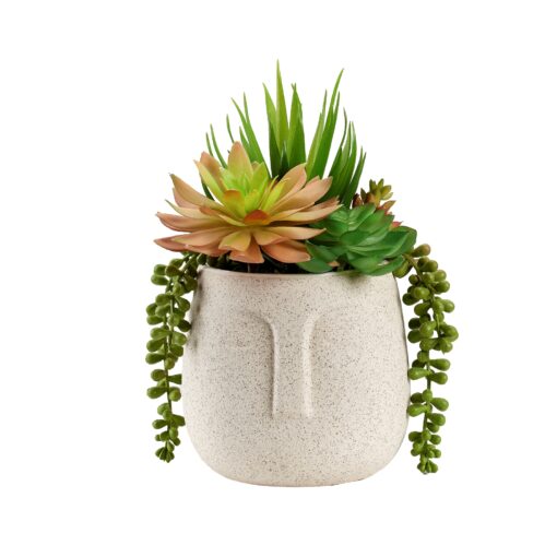 Mixed Succulents in Aztec Vase - 231134