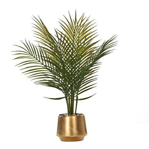 Majesty Palm in Gold Ceramic Pot - 231146