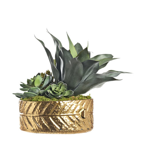 Agave, Echeverias, and  in Gold Leaf Planter - 234020