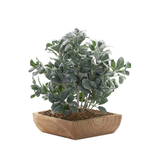 Lambs Ear in Square Wooden Bowl - 234024