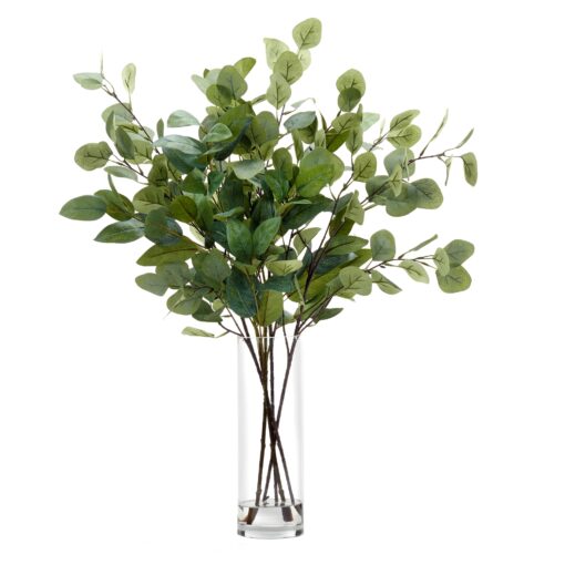 Eucalyptus Stems in Glass Vase - 246005