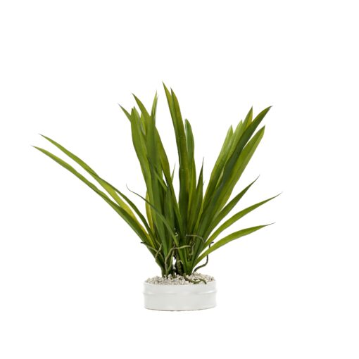 Small Orchid Leaves Matte White Bowl - 246022