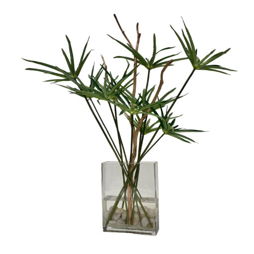 Cyperus Papyrus in Flat Panel Glass - 246027