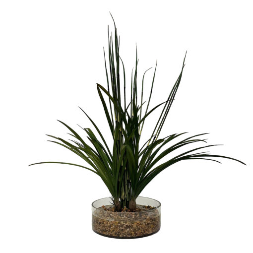 Horsetail Reed and Areca Grass in Glass Bowl - 246028