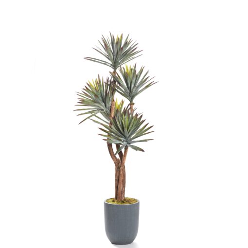 Yucca Love in Small Campbell Planter - 323418