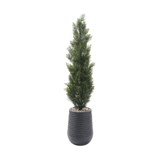 6' Cedar Topiary in Small Black Artemis Planter - 323804