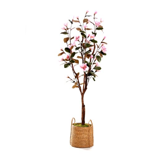 7' Pink Magnolia Tree in Rope Basket - 323906