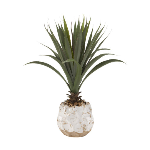 Agave Plant in Rustic Ceramic Planter - 197040-S