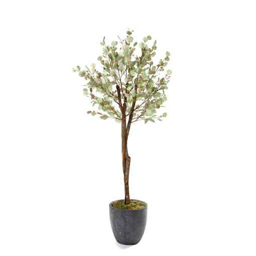 Seeded Eucalyptus Tree in Black Sawyer Planter - 324803