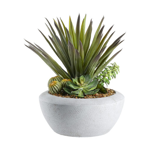 Agave and Assorted Succulents in Triad Planter - 249004