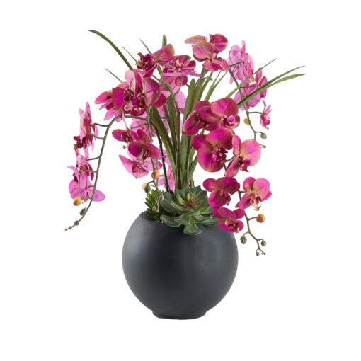 Lavender Orchids and Echeverias in Black Porter Planter - 249018