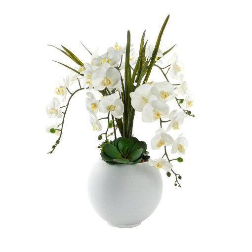 White Orchids and Echeverias in White Porter Planter - 249020