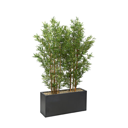 7' Bamboo Screen in Black Planter - 324915