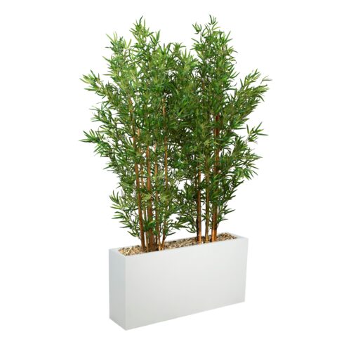 7' Bamboo Screen in White Planter - 324916