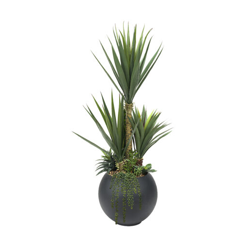 5' Sisal and Assorted Succulents in Black Porter Planter - 324920