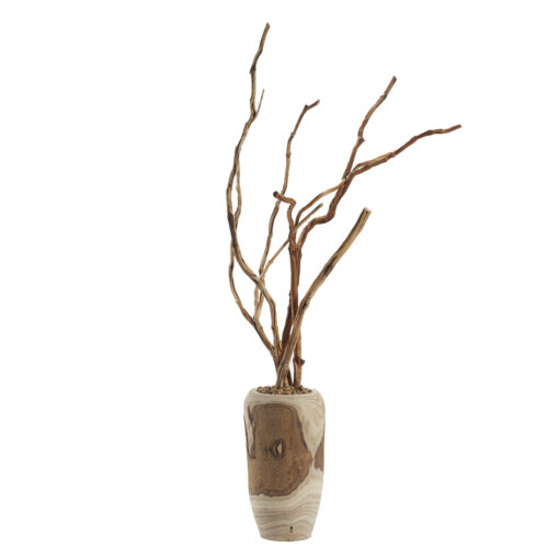 Tiger Wood in Yucca Planter - 324963