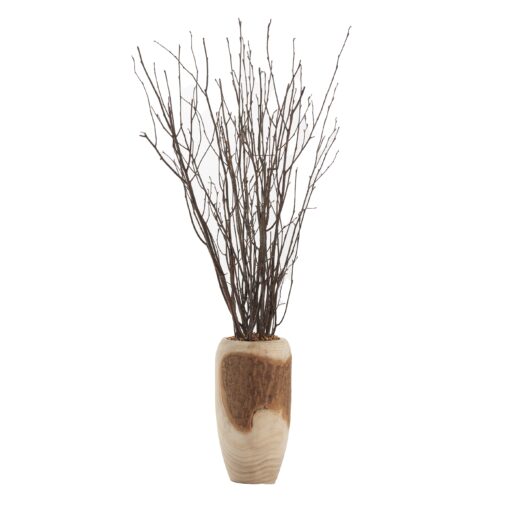 Birch Tops in Yucca Planter - 324964