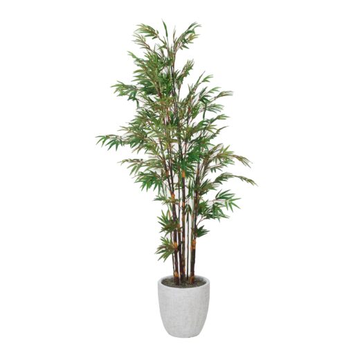 Black Bamboo Tree in White Hudson Planter - 7241000