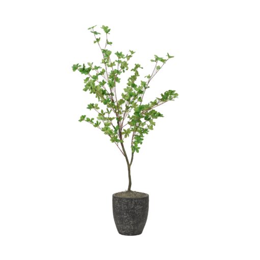 Douban Tree in Black Sawyer Planter - 7241006