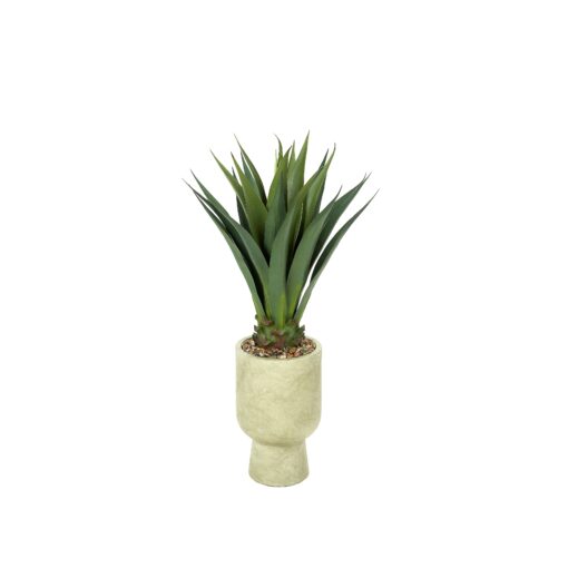 Agave in Romelia Planter - 939-3115