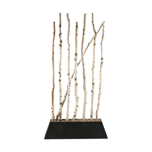 Birch Pole Screen in Black Prism Planter - 111539-1362