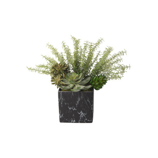 Succulents and Rosemary in Black Marbled Planter - 218009