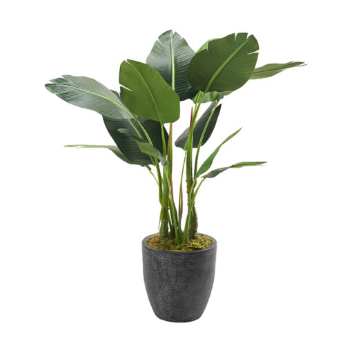 48" Bird of Paradise in Medium Sawyer Planter - 321890